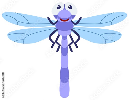 Blue dragonfly on white background