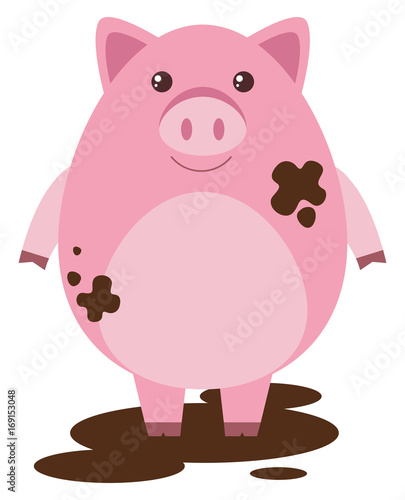 Pink pig in muddy puddle