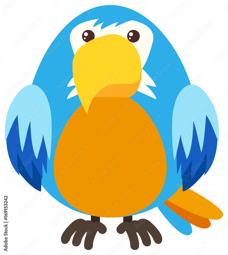 Blue parrot with happy face Blue parrot with happy face