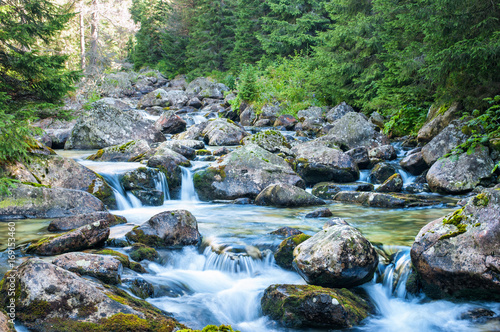 Mountain stream in High Tatras National Park, Slovakia