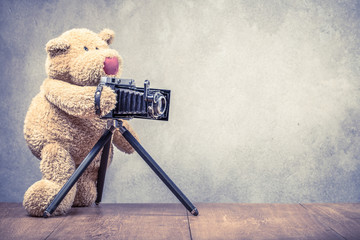 Teddy Bear photographer with old retro outdated film camera making photo shoot. Vintage instagram style filtered photography