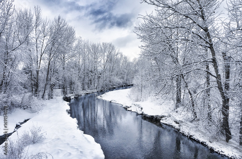 Winter Snow at Mission Creek in Kelowna BC Canada