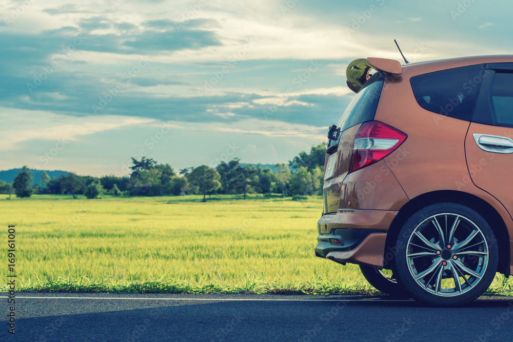 Orange car on street in the background of nature landscape. Orange car on street in the background of nature landscape.