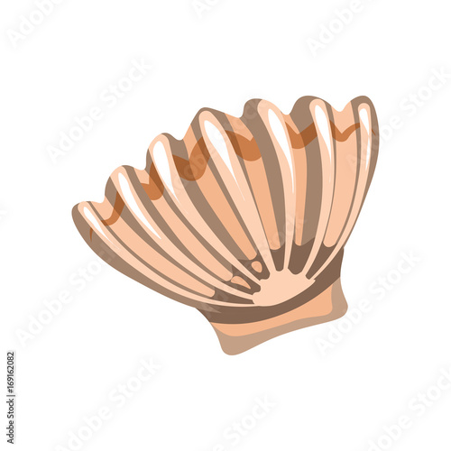 Shell or pearl nacre oyster seashell sea mollusk vector isolated flat icon