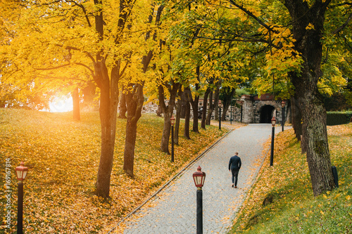 Photography A man is walking in an autumn park