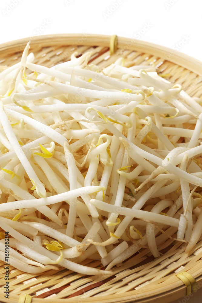 もやし Bean sprouts もやし Bean sprouts