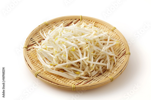 もやし Bean sprouts