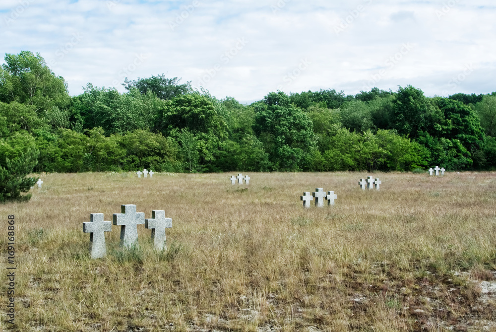 Fototapeta premium A view to old stone crosses and trees in the dry autumn grass at the old German cemetery of the Second World War at the city of Baltiysk, Kaliningrad region, Russia.
