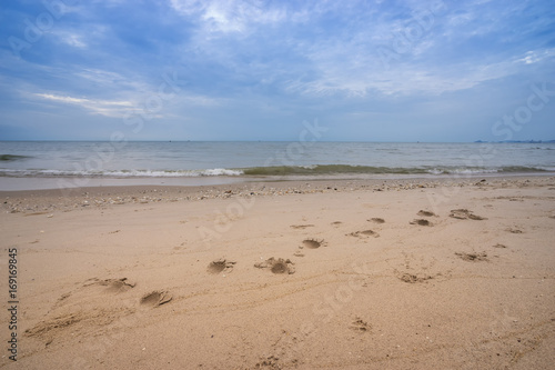 seascape with sand and skyscape and foot print