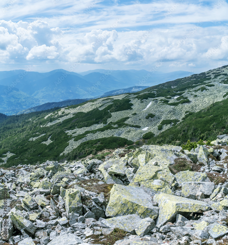 In the top of mountain. Nature background.