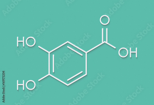 Protocatechuic acid (PCA) green tea antioxidant molecule. Skeletal formula. photo