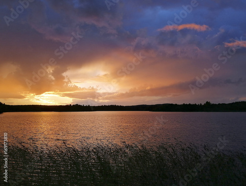 Beautiful sunset by the lake. Silhouette grass. Colorful sky.