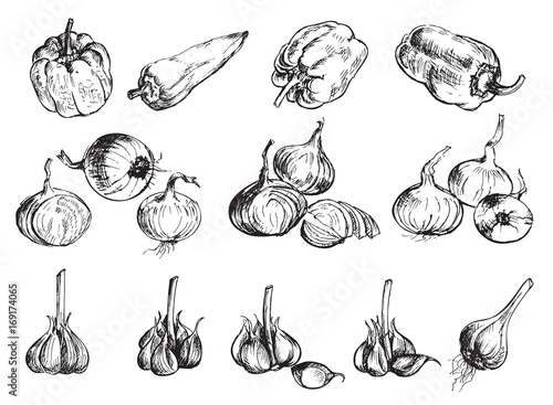 Obraz na plátně Hand drawn onion, pepper and garlic.