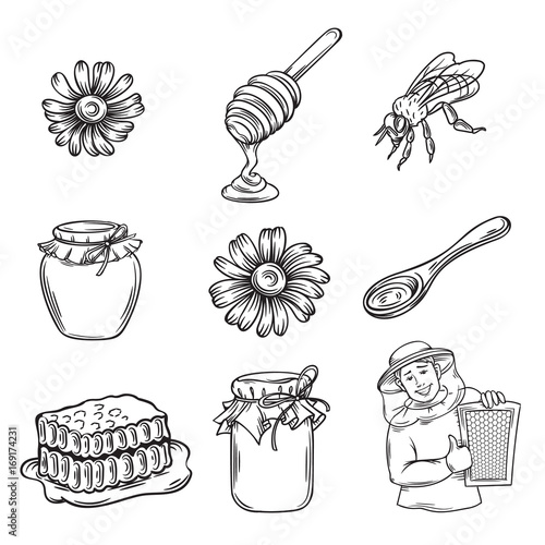 Vector hand drawn honey icons set.