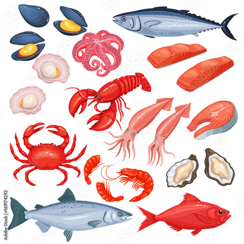 Seafood in cartoon style.