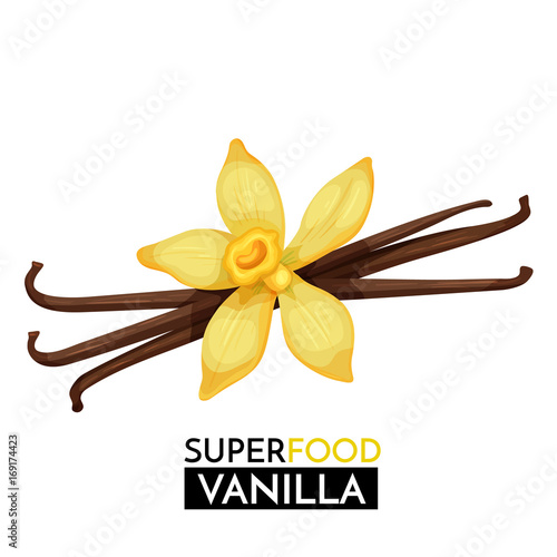 Vanilla vector icon.