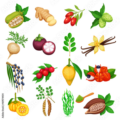 Vector superfood icons set.