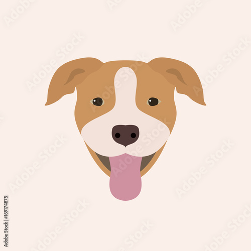 American Pitbull Terrier Portrait. Vector illustration portrait of Dog on white background.
