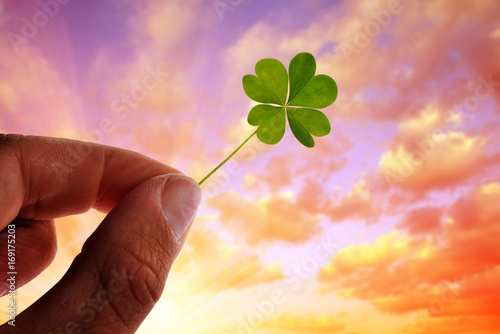 Hand holding green four leaf clover at sunset.
