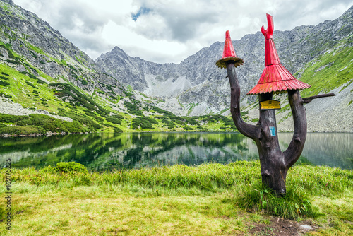 Beautiful summer lake in mountains. High tatras, Slovakia photo