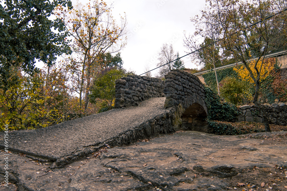 Obraz premium puente de piedra