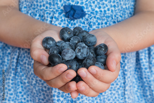Фотография Closeup portrait of a handful of fresh blueberries