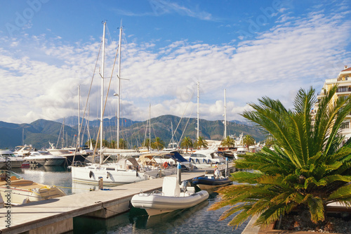 View of  Porto Montenegro Marina in Tivat town on a sunny autumn day. Montenegro © Olga Iljinich