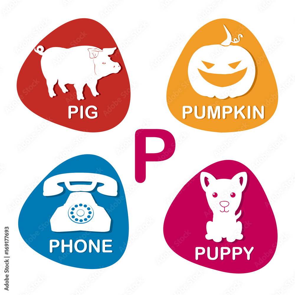 Alphabet in vector. P letter for pig, pumpkin, phone and puppi