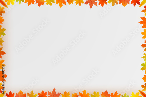 autumn maple leaf border composition