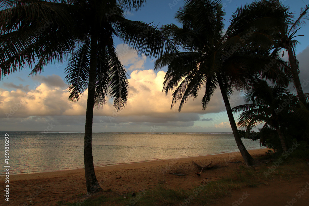 Sunset and palm trees at Anini beach, Hawaii