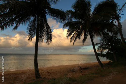 Sunset and palm trees at Anini beach, Hawaii photo
