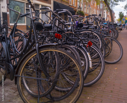 a row of different bikes lined up on the street in The Netherlands