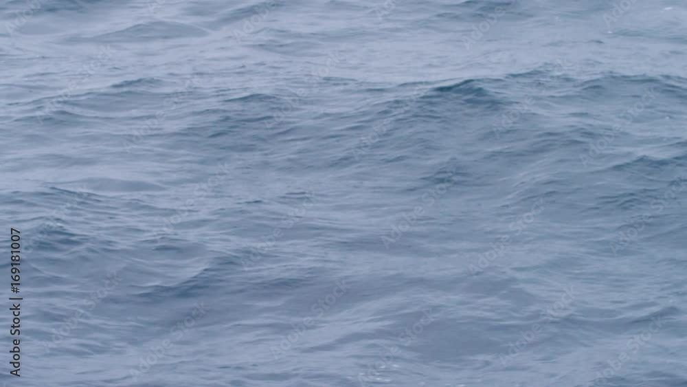 A full shot of the ocean's water. A full shot of the ocean's water.