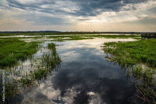 Narew river in Narew National Park near Waniewo village, Podlasie, Poland