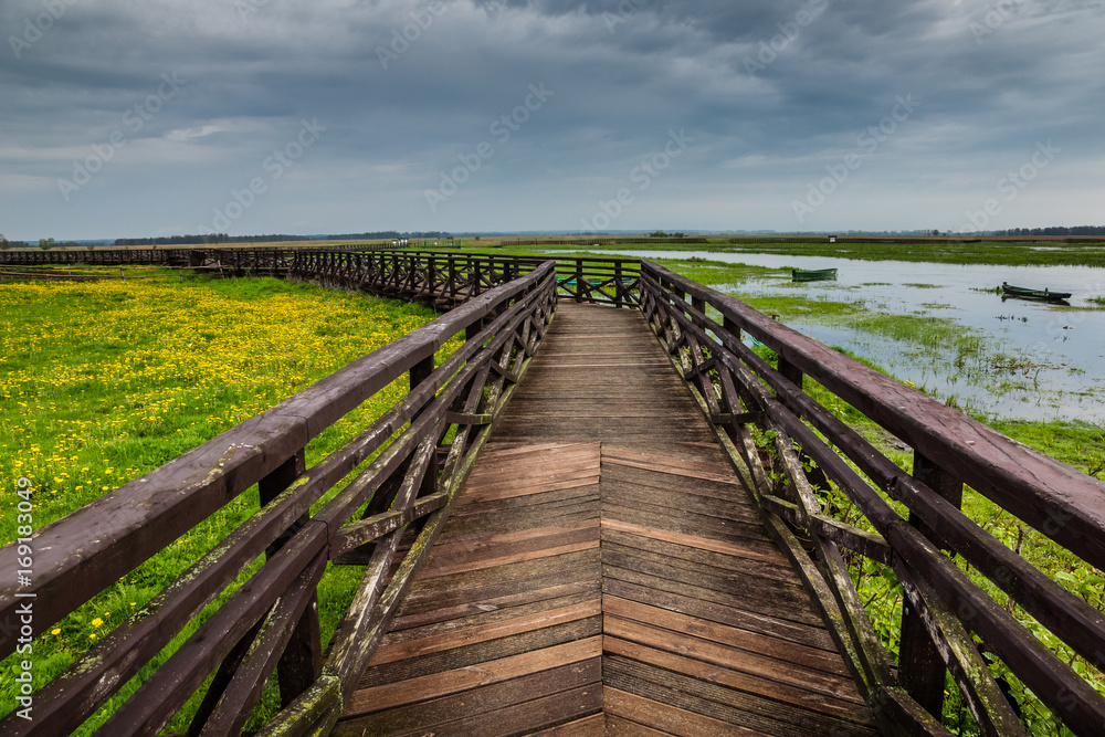 Footbridge on the Narew river in Narew National Park near Waniewo village, Podlasie, Poland