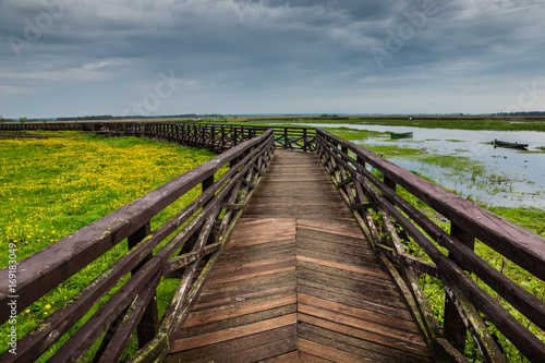 Footbridge on the Narew river in Narew National Park near Waniewo village, Podlasie, Poland