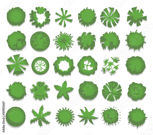 Set of different green trees, shrubs, hedges. Top view for landscape design projects. Vector illustration, isolated on white background.