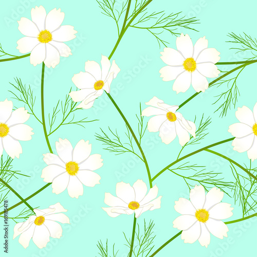 White Cosmos Flower on Gree...