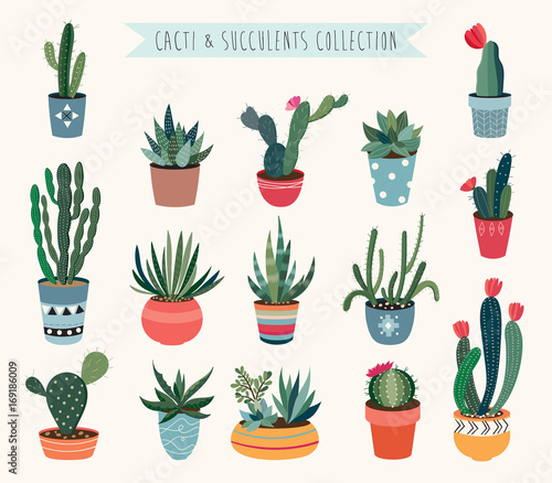 Cacti and succulents vector collection.