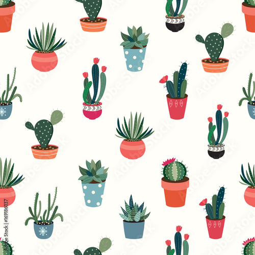 Seamless pattern with cacti and succulents on white background