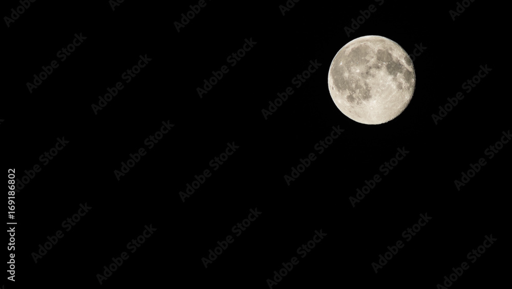 Moon Moon