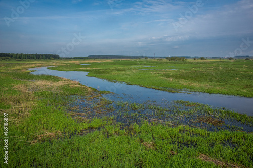 Narew river in Narew National Park near Uhowo village, Podlasie, Poland