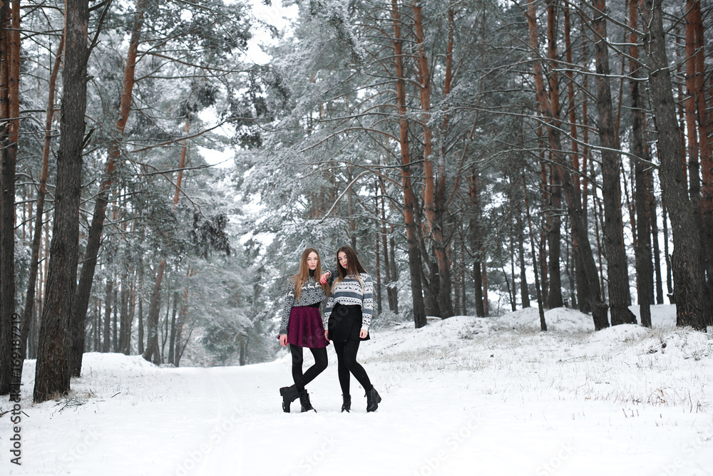 Two young teenage hipster girl friends together.Close up fashion portrait of two sisters hugs and having fun winter time,wearing sweater,best friends couple outdoors, snowy weather