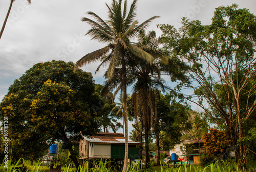 Traditional village in Malaysia, houses on stilts, Borneo island, Sabah. photo