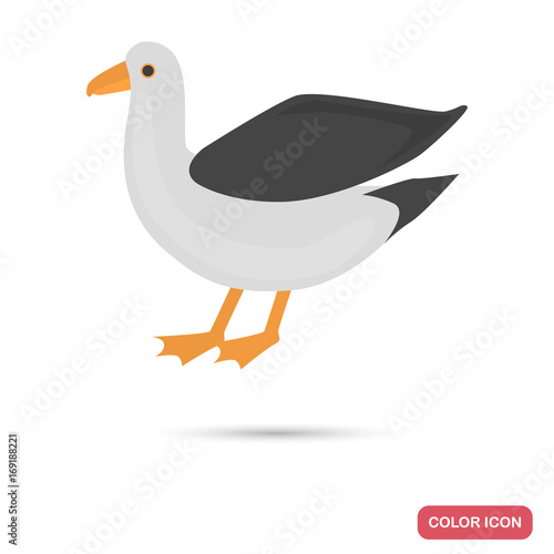 Seagull color flat icon for web and mobile design