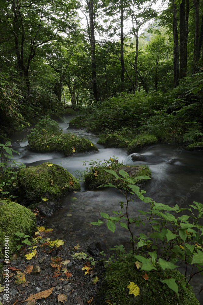Kitanizawa mountain stream / In the middle of beautiful mountain landscape Kitanizawa mountain stream / In the middle of beautiful mountain landscape