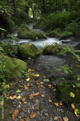 Kitanizawa mountain stream / In the middle of beautiful mountain landscape