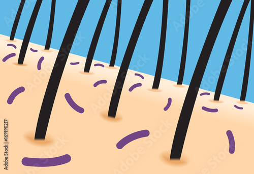 bacteria on skin and hair vector