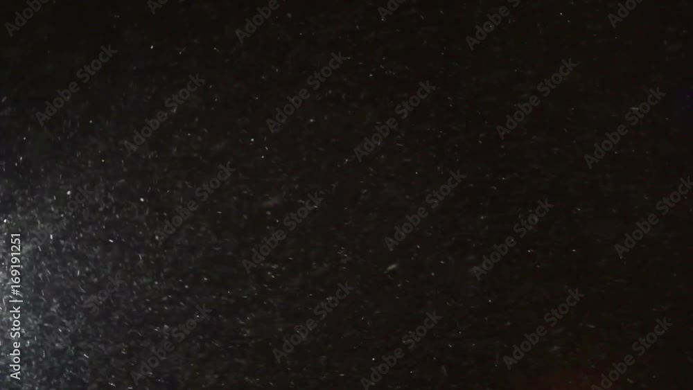 Snow Falling Looped Snow Falling Looped