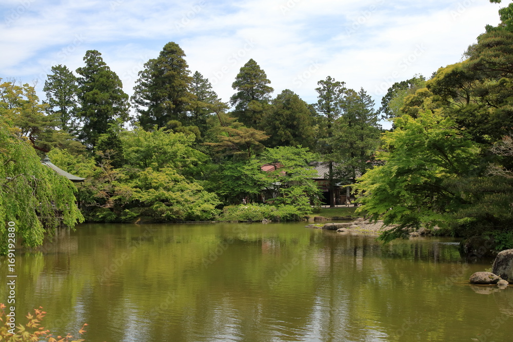 成田山公園の池